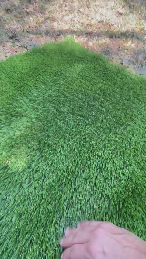 Artificial Turf - 70oz