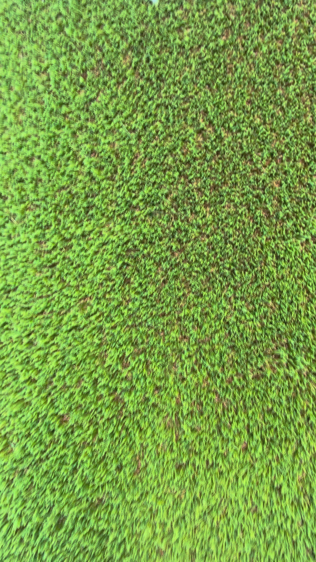 Artificial Turf  - 86oz