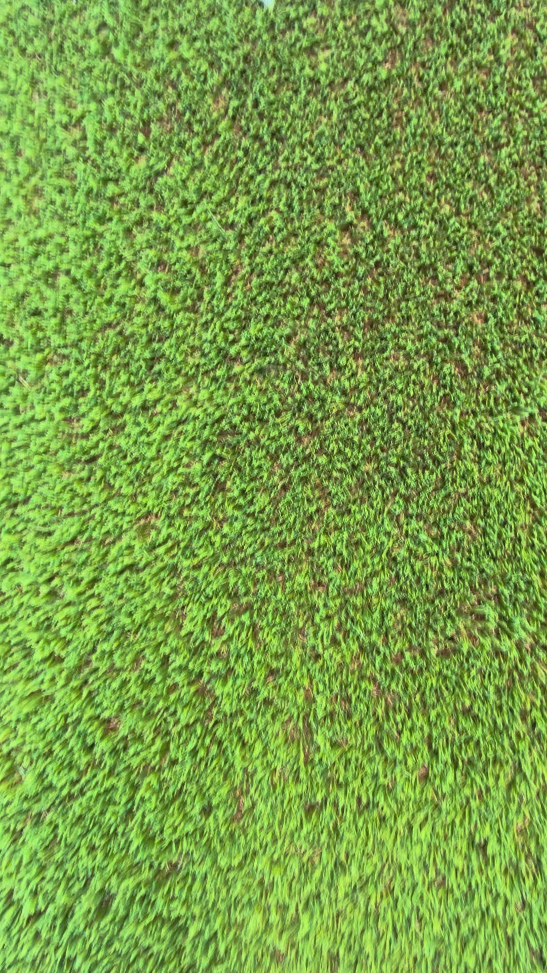 Artificial Turf  - 86oz