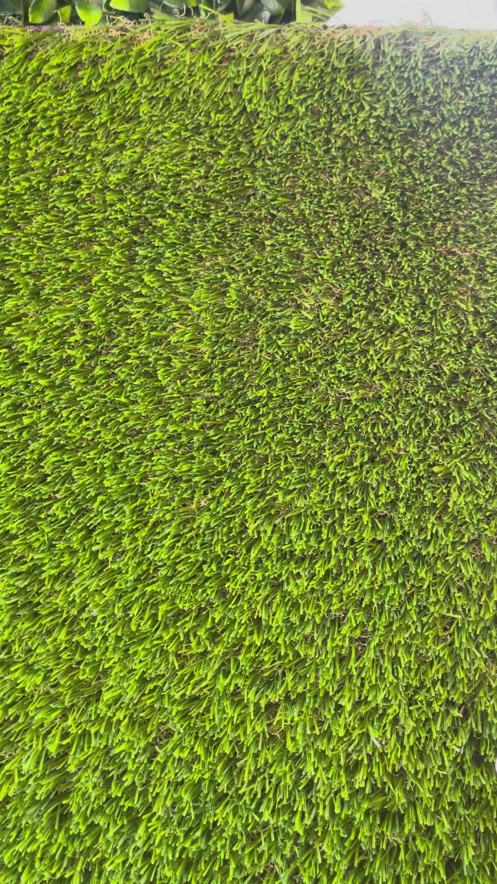 Artificial Turf - 80oz