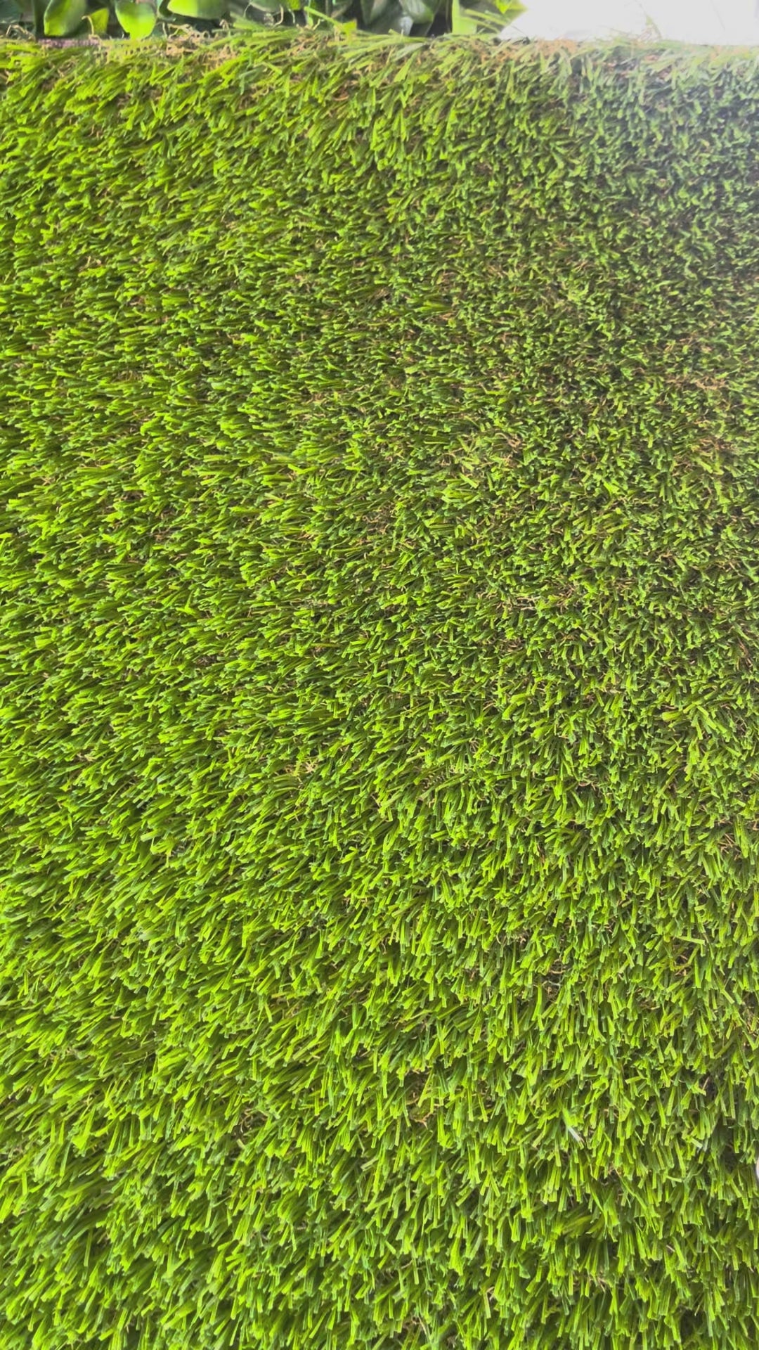 Artificial Turf - 80oz